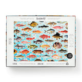 Judgy Fish 1000 Piece Puzzle