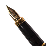 Platinum Kanazawa-Haku Fountain Pen Goldfish, 18kt Gold Nib