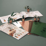 Paper Plants Origami Kit