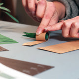 Paper Plants Origami Kit