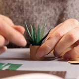 Paper Plants Origami Kit
