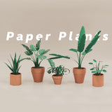 Paper Plants Origami Kit