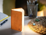 Gingko Smart Book Light