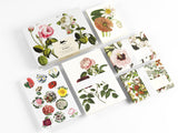 Pepin Correspondence Sets