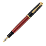 Pelikan M600 Fountain Pen