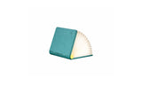 Super Mini Smart Book Light - Palm Edition Lagoon Teal