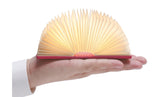 Super Mini Smart Book Light, Palm Edition Coral Red