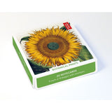 Botanical Prints, Set of 20 Notecards & Envelopes