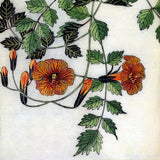 Botanical Prints, Set of 20 Notecards & Envelopes