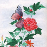 Botanical Prints, Set of 20 Notecards & Envelopes
