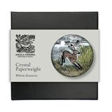 Crystal Paperweight, Young Hare