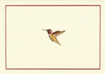 Hummingbird Notecards