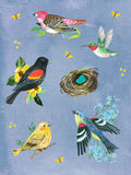 Wildflower Picnic Sticker Book - 100+ Stickers of Fresh Fruits, Flowers, and Gingham Galore!