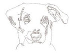 Join the Dogs! Satisfyingly Difficult Dot-to-Dot Puzzles