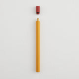 Tom's Studio Special Edition Colour Block Lumos Pro Single