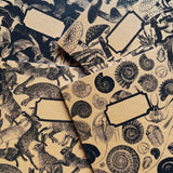 Bison Bindery Kraft Sketchbook, A5