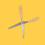 Legami Teddy Scissors