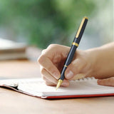 Platinum Nebula Black Fountain Pen