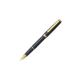 Platinum Nebula Black Fountain Pen