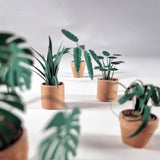 Paper Plants Origami Kit