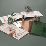 Paper Plants Origami Kit