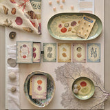 Specimens of the Sea, Oval Enamel Tray