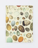 Eggs Softcover Notebook, Lined A5