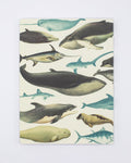 Whales & Seals Softcover, Lined