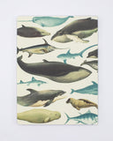 Whales & Seals Softcover, Lined