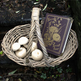 Luxury Gold Foiled Secrets of the Forest Floor Crossbody Book Bag