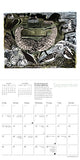 Angela Harding 2027 Mini Wall Calendar