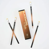 Blackwing x Fender Sunburst Limited Edition Pencil