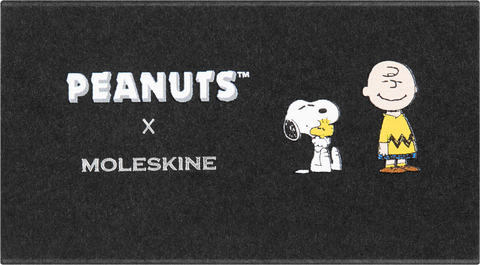 Peanuts Notebook Pins, Set of 2