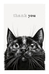 Thank You Cards, Black Cat, Box of 10