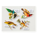 Salty Birds 1000 Piece jigsaw Puzzle
