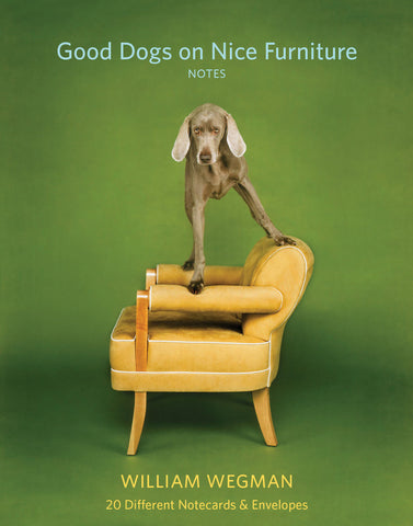 Good Dogs on Nice Furniture Notecards